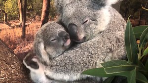 208K views · 4.6K shares | With the world facing unprecedented...