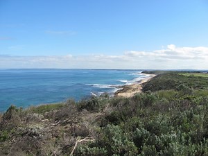 Key Knowledge Task 1: DynamicEcosystems - Entry