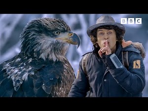 Andy and the Bald Eagles 🦅 | Aquatic Adventures | Andy's Amazing Adventures