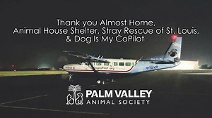2.1K views · 53 reactions | Founded in 2012, Dog Is My CoPilot is a...