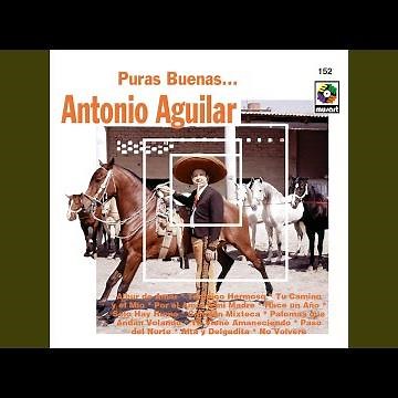 Por El Amor A Mi Madre