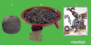 Las espinas del maguey