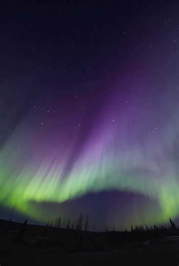 Auroras for last night over Alaska Visual proof that our planet has a shield. These lights are the result of high-energy particles from the Sun slamming into Earth's magnetic field at millions of miles per hour. Without this magnetic bubble, life as we know it wouldn't exist. We are watching our atmosphere protect us in real-time. | Ethereal Earth