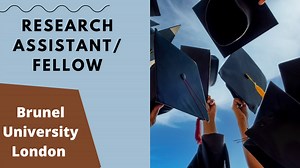 Research Assistant/Fellow