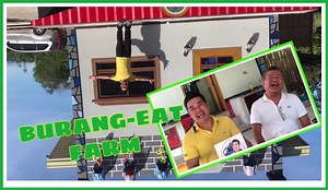 1.7K views · 70 reactions | BURANG-EAT FARM. A fun interview with the owner. And food tasting.  Youtube link: https://youtu.be/S2G-UTctrTM | MotoVibe | Facebook