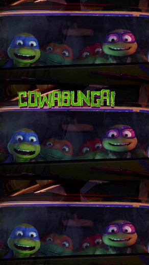 ninjaswhoareturtles on TikTok