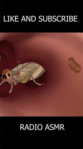 ASMR Animation ear cleaning #asmr #asmranimation /Cockroach removal