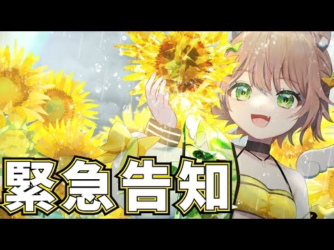 【VisionStream】オーディションについてはなしたよ【VS】