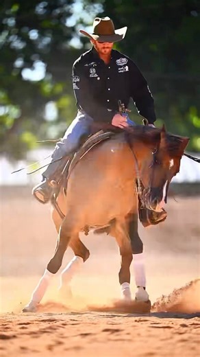 𝐐𝐮𝐢𝐞𝐭 𝐜𝐨𝐧𝐟𝐢𝐝𝐞𝐧𝐜𝐞. 𝐋𝐨𝐮𝐝 𝐫𝐞𝐬𝐮𝐥𝐭𝐬. 🔥 𝑩𝒍𝒂𝒛𝒊𝒏𝒈 𝑭𝒐𝒓 𝑪𝒉𝒆𝒙 𝒂𝒌𝒂 𝑩𝒖𝒃𝒃𝒂 🎥: @emilythurnerphoto 👩🏼‍💻: @katebowserphotography #AllredPerformanceHorses | #ClassicEquine | #EliteEquine | #SuperiorSaddlery | #NRHA | #Reining | #Reiners | #ReiningHorses |#AQHA | #QuarterHorse | Allred Performance Horses