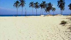 Wise Guys - Jetzt ist Sommer