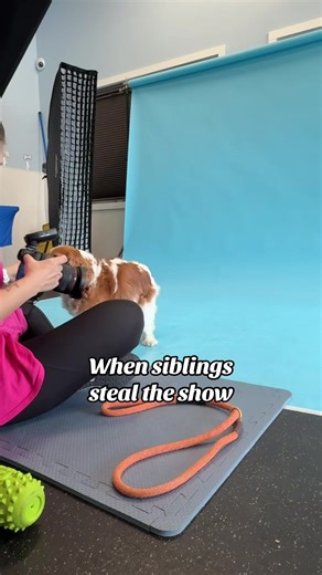 They understood the assignment #dogs