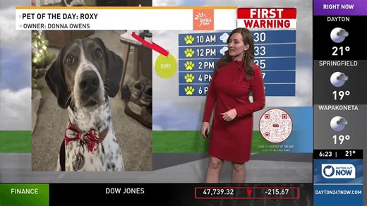 Meet Roxy, our Pet of the Day for Dec. 9