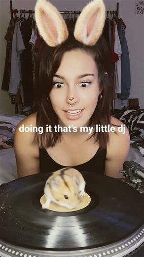 The Cutest DJ You'll Ever See! 🐹✨ #hamsterwheel