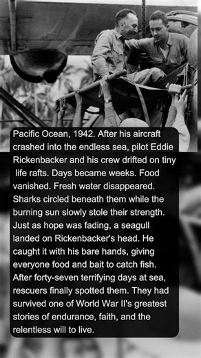 He Survived 47 Days Alone in the Pacific Ocean | Military History Talks