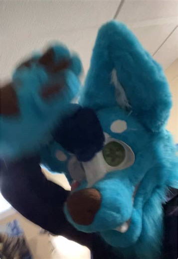 Floofy honestly just wanted to dance like crazy, so I let him lol. I just wanted to post something cause its been a while #furry #fursuit #furryfandom #furrytiktok #furrycommunity #fursona