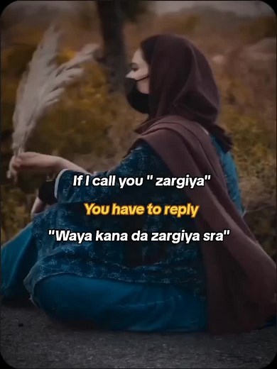 Zargiya Meaning in Urdu and Pashto - Explained and Interpreted