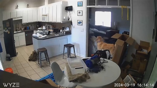 Watch a BRAND NEW episode of Prime Crime with Jesse Weber This Weekend on Law&Crime Network's Youtube Channel! | Law&Crime