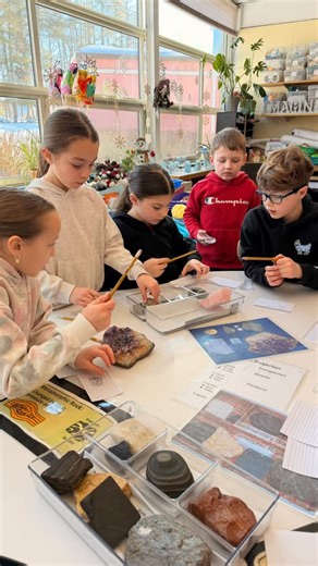 Middleton Parent Teacher Organization on Instagram: "🌍🔍 Hands-On Earth Science Fun for 2nd Grade! 🔍🌍 Our 2nd graders had an exciting in-school visit from the Discovery Museum, diving into the world of Earth Sciencethrough hands-on experiments and interactive learning! Students explored big ideas like rocks, landforms, and the forces that shape our planet — all while asking great questions and getting curious about the world beneath their feet. 🌎✨ Experiences like this help bring science to 