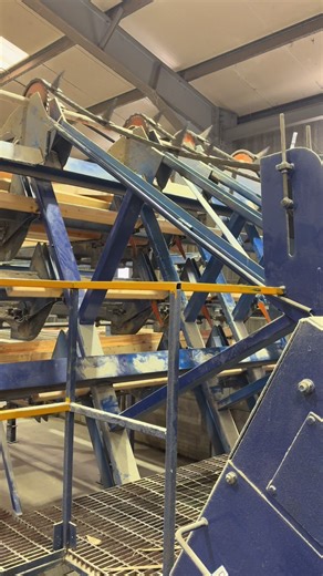 Efficient Timber Milling Process in Action