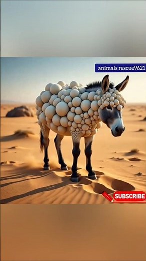 Desert Donkey Rescue — Removing Bubble Barnacles | Emotional Wildlife Recovery #wildliferescue#viral