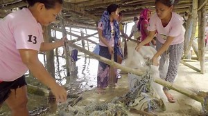 Beach clean-up study shows global scope of plastic pollution