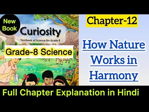 Class 8 Science | Chapter 12 Explanation | How Nature Works in Harmony | One Shot | Curiosity NCERT