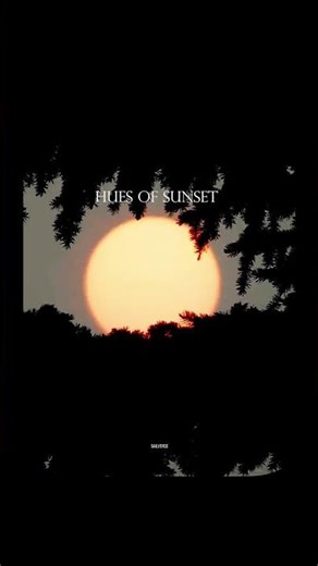 Beauty of sunsets and the colors they fill in life