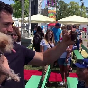 137K views · 578 reactions | A 125-pound, gassy gentle giant named...