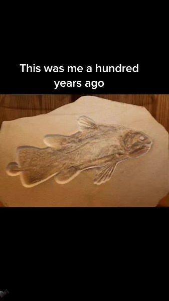 How to Pronounce Coelacanth - Pursuing Dreams