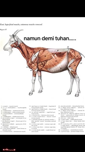 Tutorial membuat lukisan tangan lucu “copycat drawing” pakai AI yang lagi viral banget 🎨😂✨ Cara bikin gambar sketsa lucu yang sengaja “jelek tapi niat”: dari foto biasa jadi ilustrasi hand-drawn absurd, gaya buku anak-anak doodle ngawur — hasilnya kocak, random, dan bikin ngakak! 😳💞 “EFEK GAMBAR TANGAN LUCU YANG LAGI RAMAI DI TIKTOK 🚀 Dari satu foto atau sketsa biasa → jadi lukisan ala coretan buku dengan proporsi aneh: wajah melenceng, tangan kepanjangan, ekspresi random tapi justru aesthe
