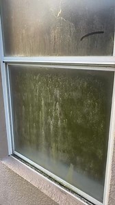 10 Windows Cleaned Starting At Just $99.00 Sale! 🎉 | No More Pane Window Cleaning