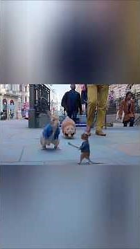 # Peter Rabbit 2 Part 3 - Epic Showdown! Mike vs. Rabbits | Hilarious Action Moments#movie