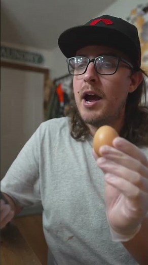 Can You Hatch an Egg Without Its Shell? #chickens #chickencoop #eggs #rooster #experiment