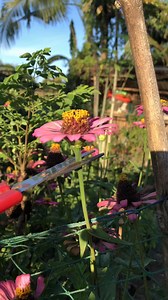 2.1M views · 66K reactions | Petal art idea #fypviralシ #followersreels #trendingreelsvideo #followerseveryonehighlightseveryone | Dahonking Vlogs | Facebook