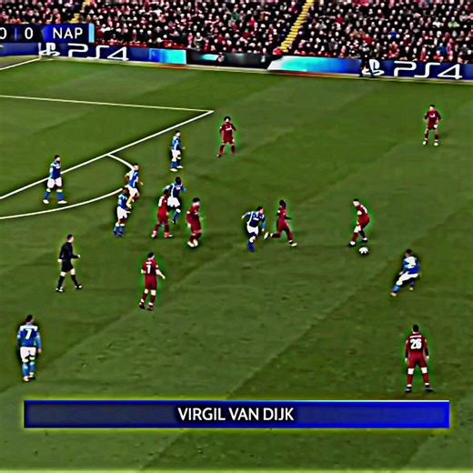 Virgil Van Dijk: Highlights and Skills