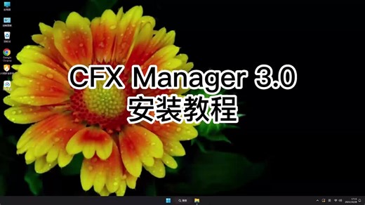 一看就懂CFX Manager 3.0教程，快速学会CFX Manager 3.0使用