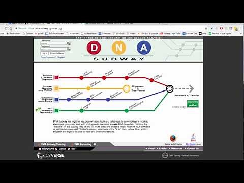 Using DNA Subway to Create a Cladogram