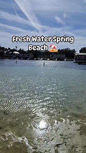 Hunter Springs Park in Crystal River is a fresh water spring beach! #beachlife #beachvibes #beach #crystalriver #crystalriverflorida #fblifestyle #citruscounty #river #floridasprings #kayak #paddleboarding | River Karen