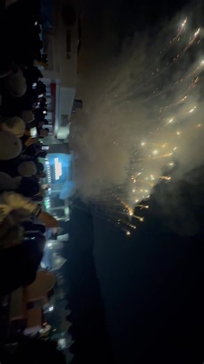 Amazing fireworks 🎆 | Dipasha Shrestha