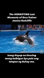 The HORRIFYING Last Moments of Orca Trainer Jessica Radcliffe #JessicaRadcliffe #orca #orcaattack #accident | Joan Lopez
