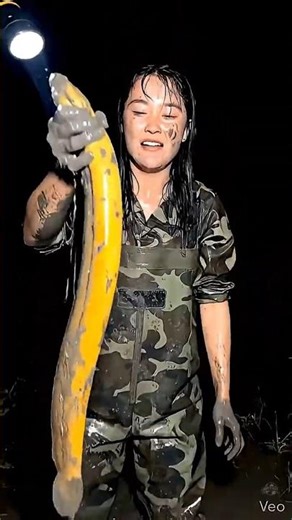 ill fish ko pakdna kitna risk hai 🐟#viral #facts #shortvideos #fish #fishing