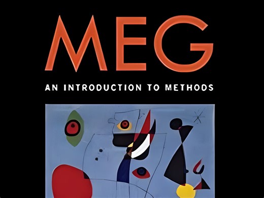 Introduction to MEG 脑磁图导论