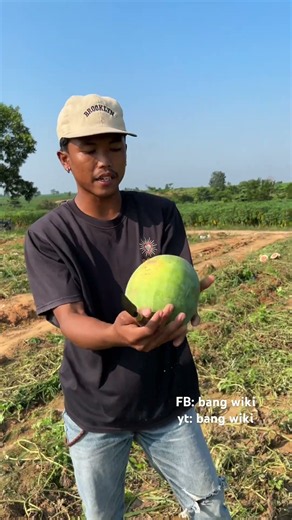 Scavenging for Watermelons