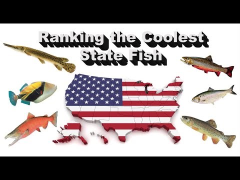 Ranking the Coolest State Fish in America 🐟