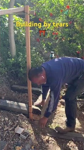 #arte #homeimprovement #creativemind #rough #plantera #chayote #diy