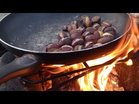 How to Prepare Chestnuts for Eating: Roasting Over an Open Fire