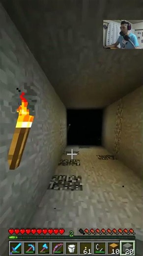 SOMEONE ENTERED MY SINGLEPLAYER WORLD — Minecraft