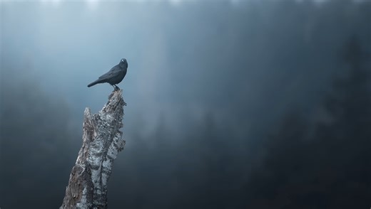 How to Create a Dramatic Metallic Effect in Lightroom