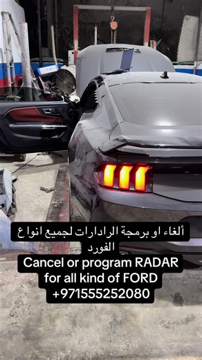 AMERICAN_MUSCLE_FANS على TikTok