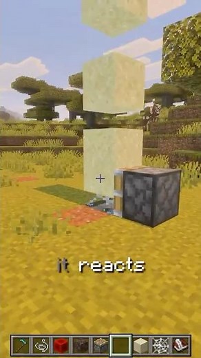 This Simple Trick Breaks Minecraft Physics!